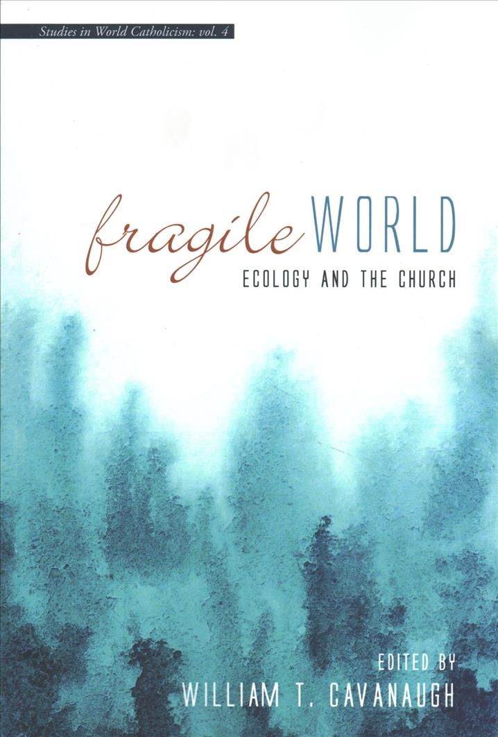 Fragile World By Cavanaugh 9781498283403 (Paperback)