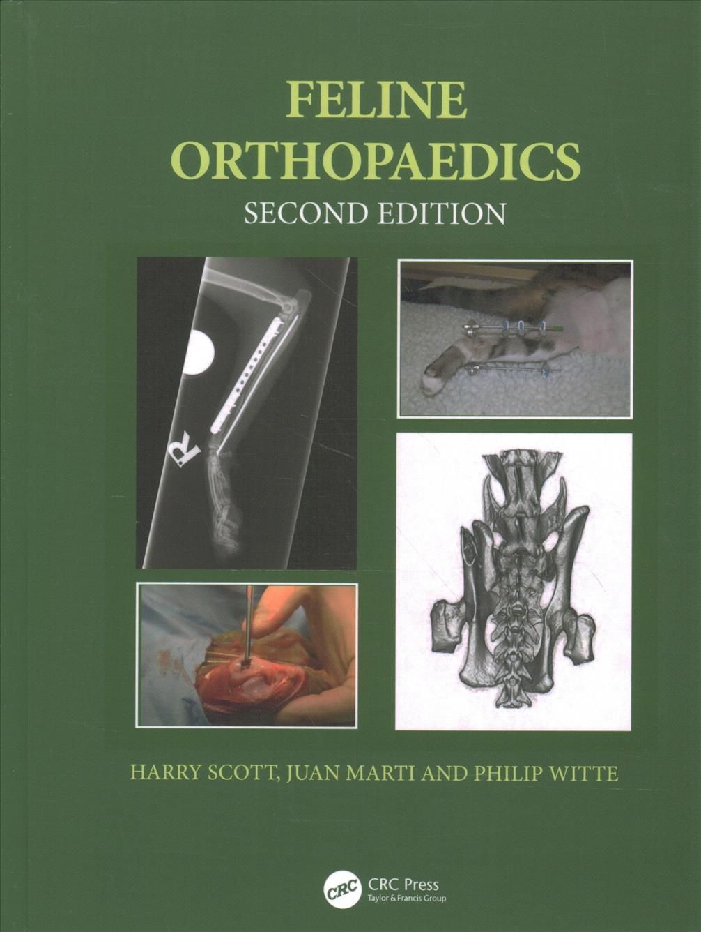Feline Orthopaedics By Harry W. Scott, Juan M. Marti, Philip Witte