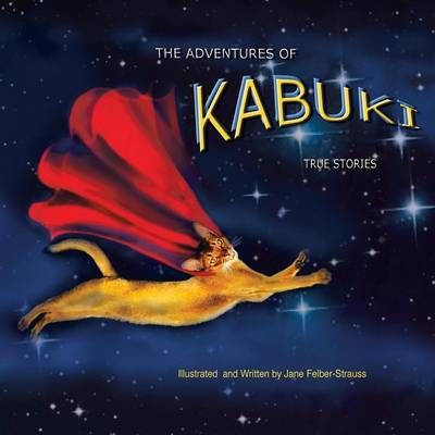 The Adventures of Kabuki By Jane Felber- Strauss 9781499069259