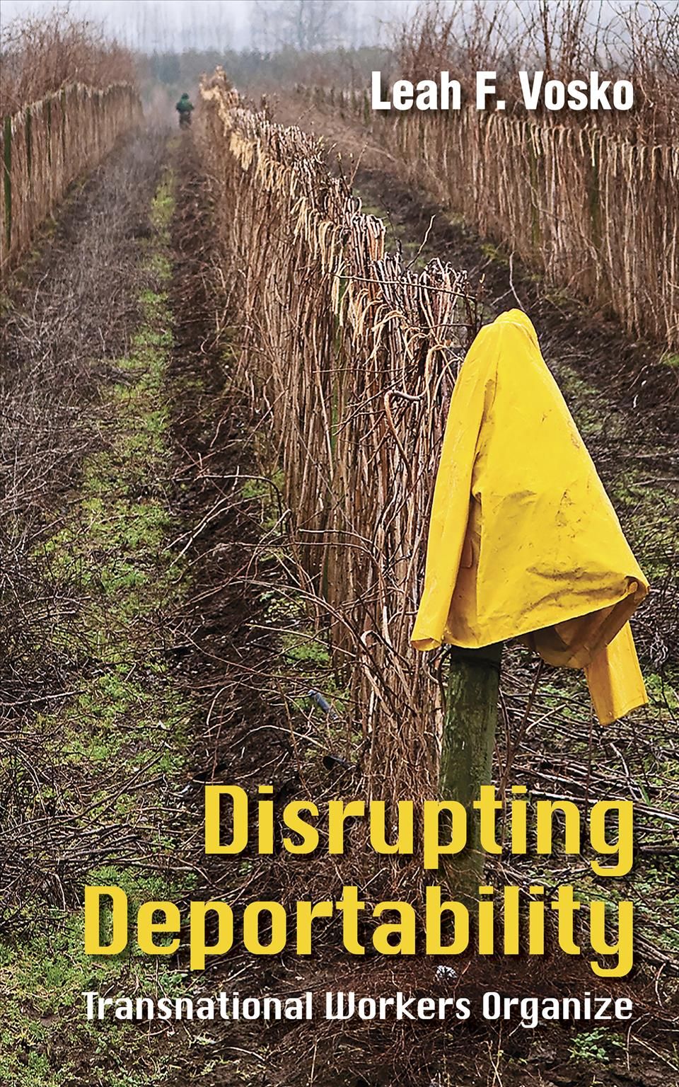 Disrupting Deportability By Leah F. Vosko 9781501742149 (Paperback)