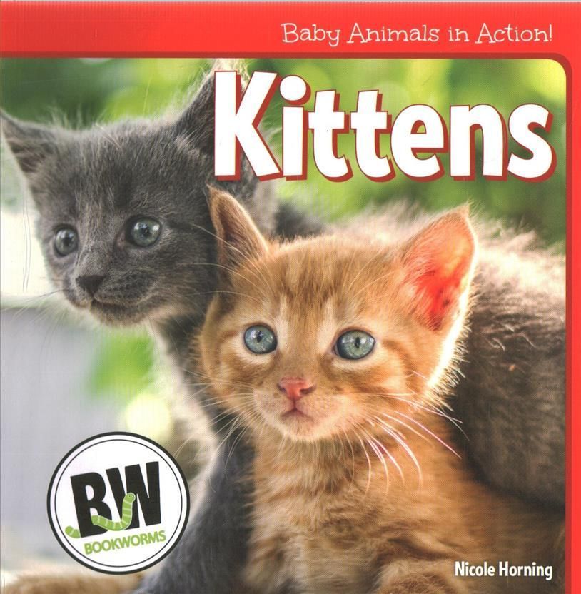 Kittens By Horning 9781502656131 (Paperback)