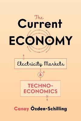 The Current Economy By Canay Özden-Schilling 9781503612273 (Hardback)