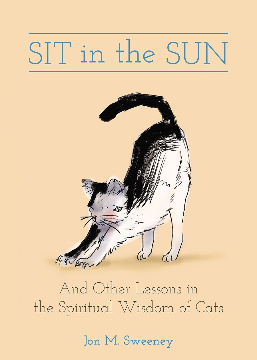 Sit in the Sun By Jon M. Sweeney 9781506482279 (Hardback)