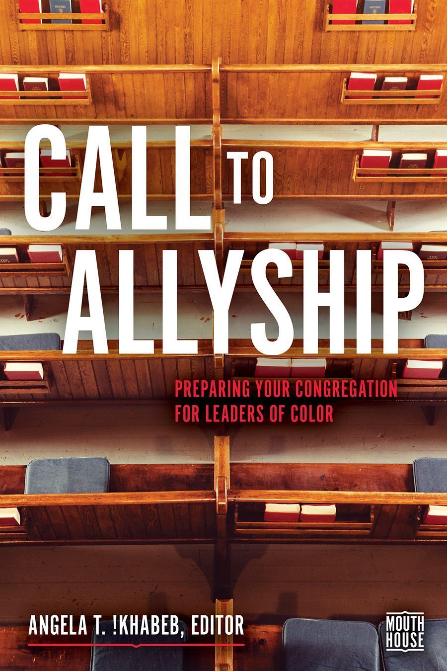 Call to Allyship By Angela T. !Khabeb 9781506497761 (Paperback)