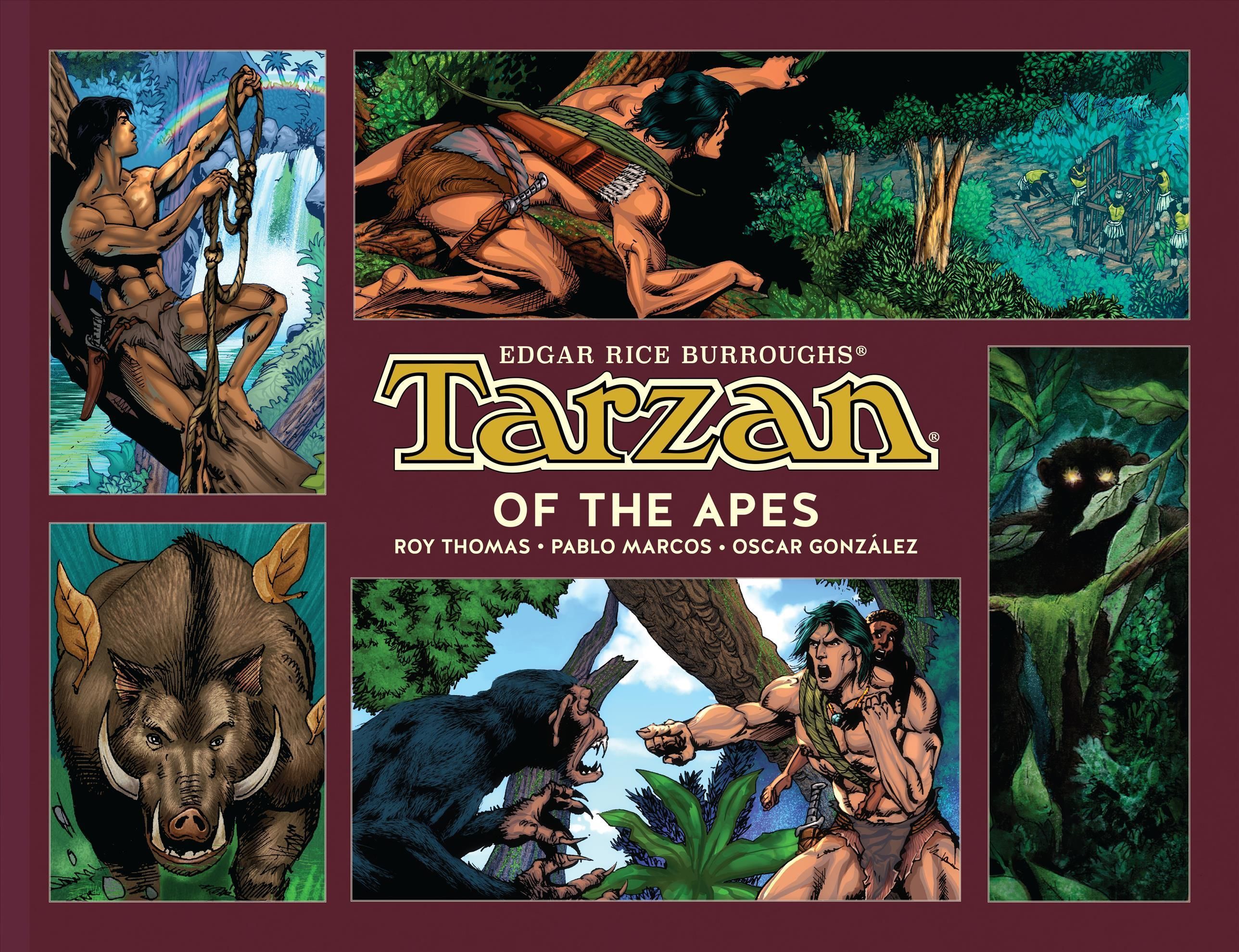 Tarzan of the Apes By Edgar Rice Burroughs 9781506732367 (Hardback)