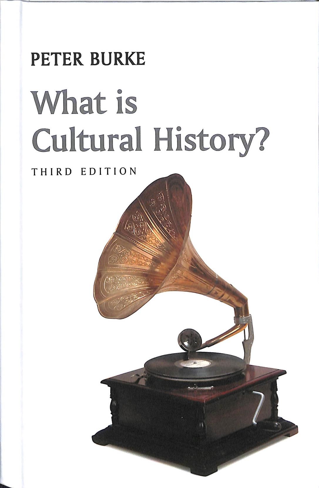 What Is Cultural History? By Peter Burke 9781509522200 (Hardback)