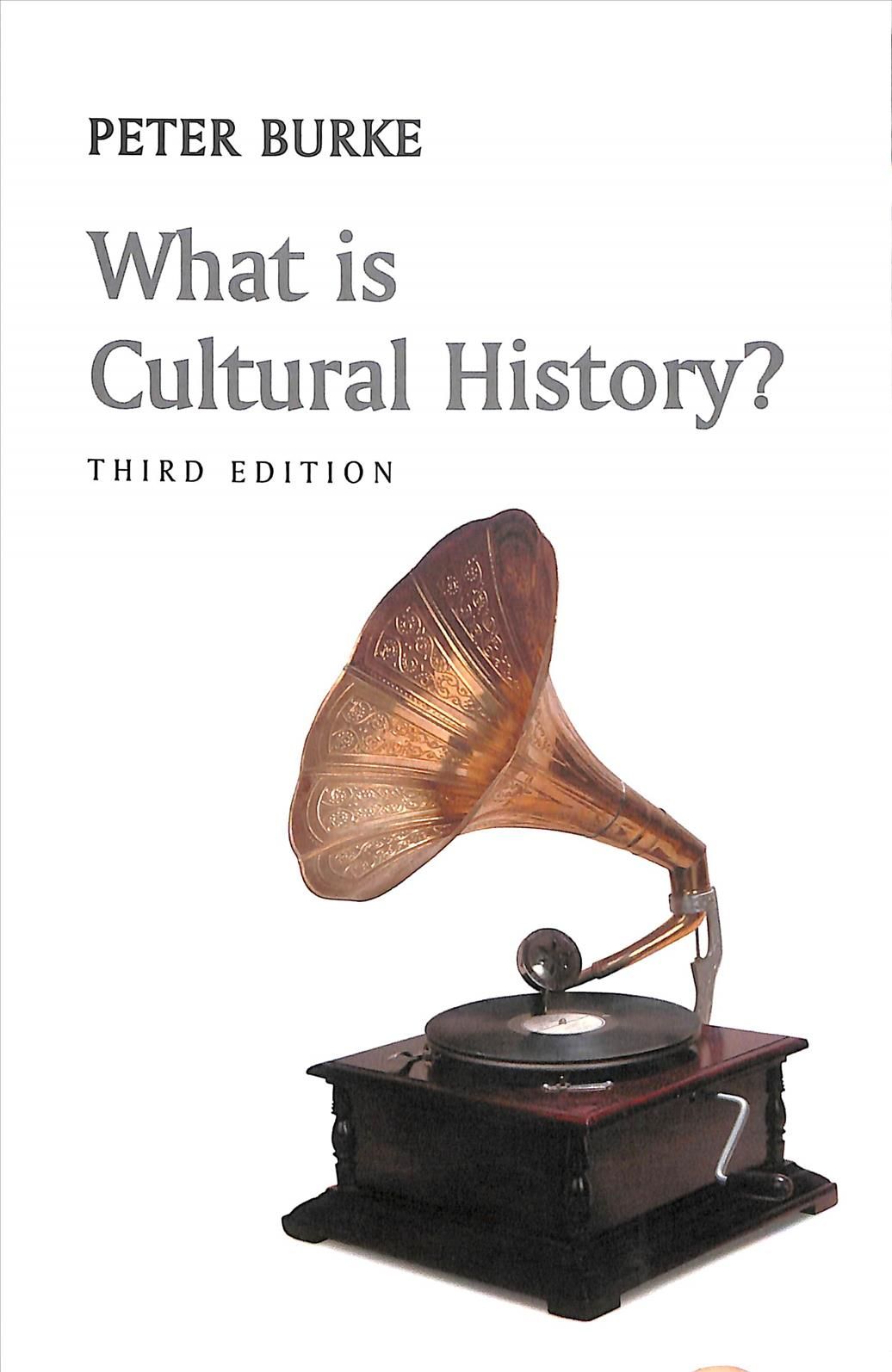 What Is Cultural History? By Peter Burke 9781509522217 (Paperback)