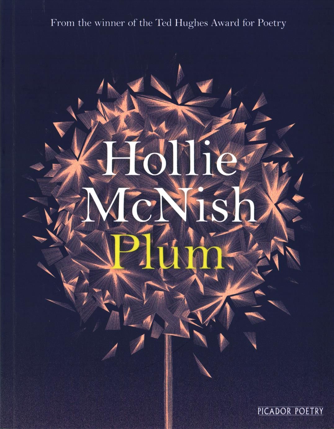 Plum By Hollie McNish 9781509815760 (Paperback)