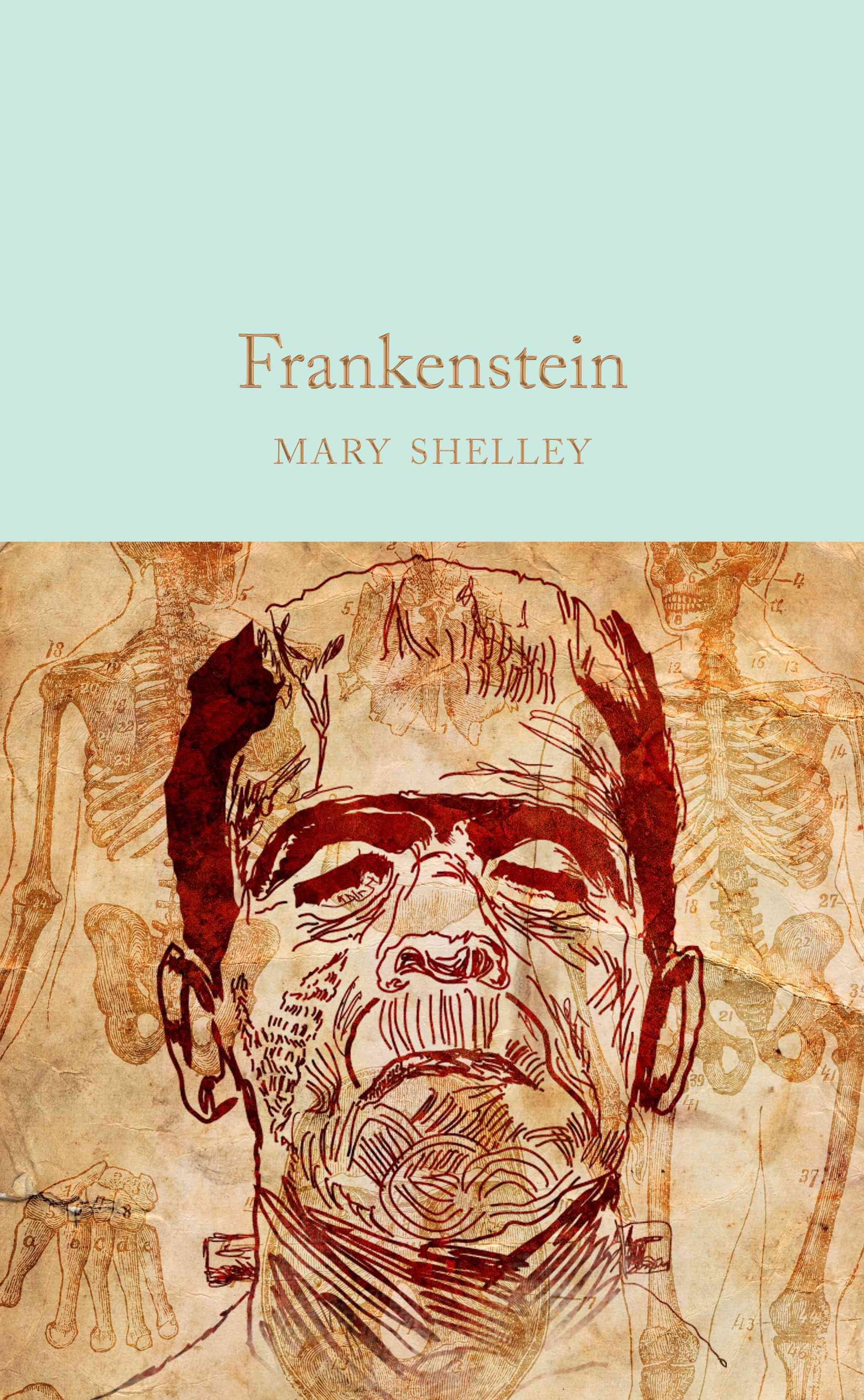 Frankenstein By Mary Wollstonecraft Shelley 9781509827756 (Hardback)