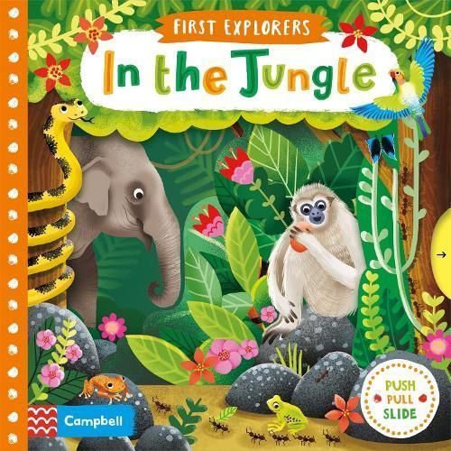 In the Jungle By Jenny Wren (artist) 9781509832606 (Board book)