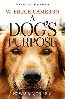 A Dog's Purpose By W. Bruce Cameron 9781509852826 (Paperback)