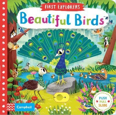 Beautiful Birds By Chorkung (artist) 9781509898336 (Board book)