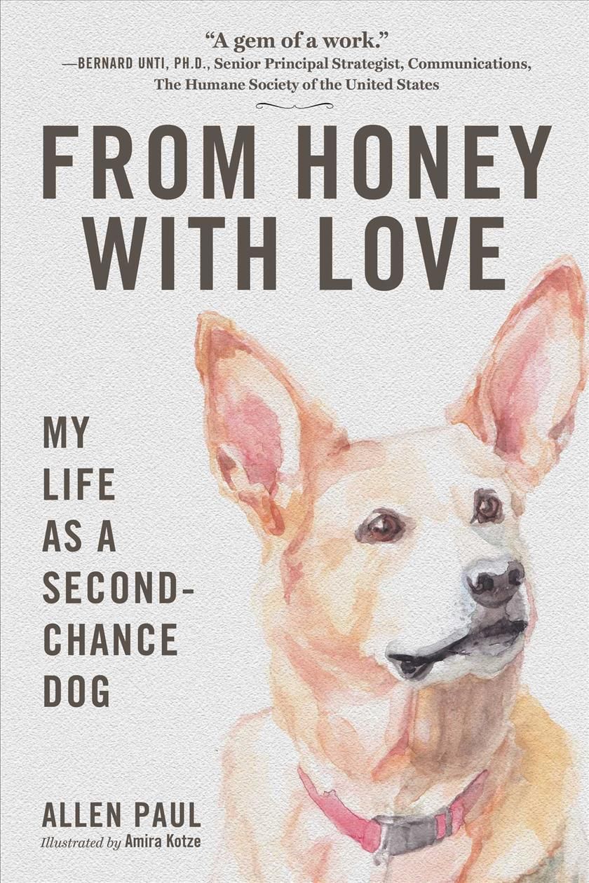 From Honey With Love By Allen Paul (author), Amira Kotze (illustrator)