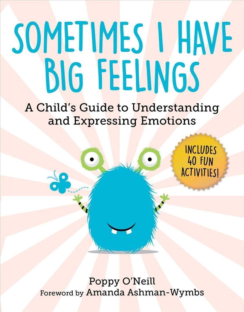 Sometimes I Have Big Feelings 9781510773226 (Paperback)