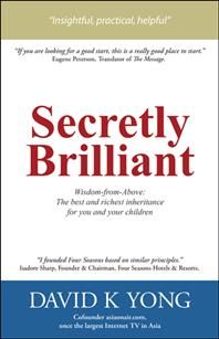 Secretly Brilliant By David K Yong 9781512758641 (Hardback)