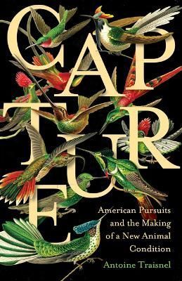 Capture By Antoine Traisnel 9781517909635 (Hardback)