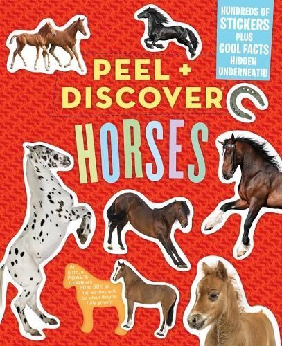 Peel + Discover: Horses 9781523503605 (Paperback)