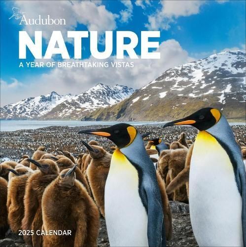 Audubon Nature Wall Calendar 2025 9781523526307 (Calendar)