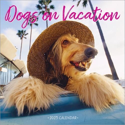 Dogs on Vacation Wall Calendar 2025 By Workman Calendars 9781523526673