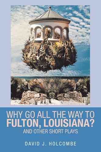 Why Go All the Way to Fulton, Louisiana? By David Holcombe (Paperback)