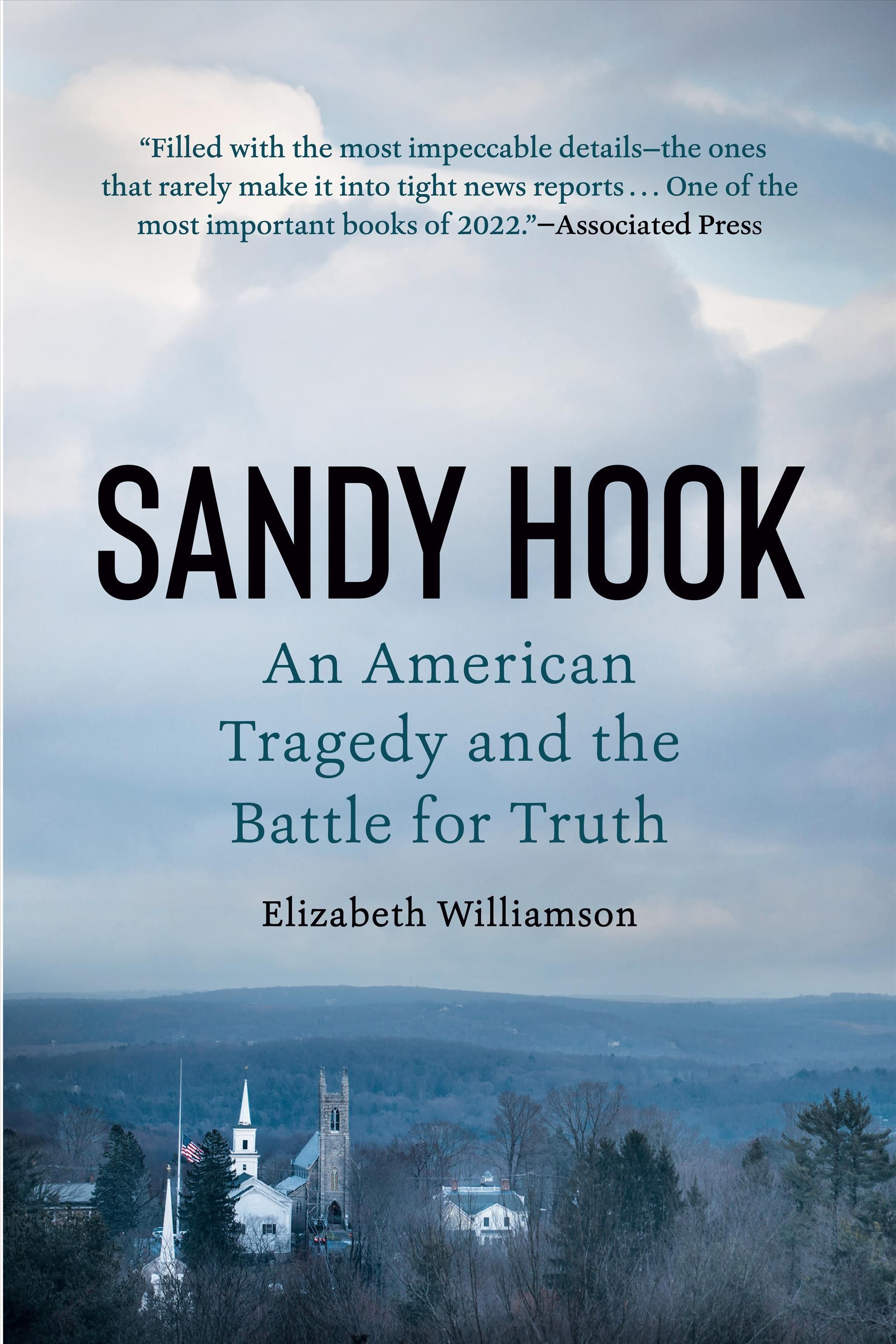 Sandy Hook By Elizabeth Williamson 9781524746582 (Paperback)