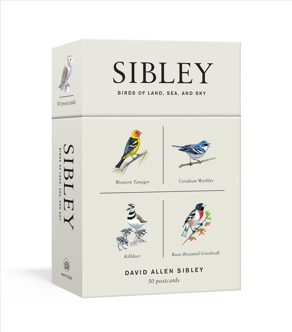 Sibley Birds of Land, Sea, and Sky By David Allen Sibley 9781524761820