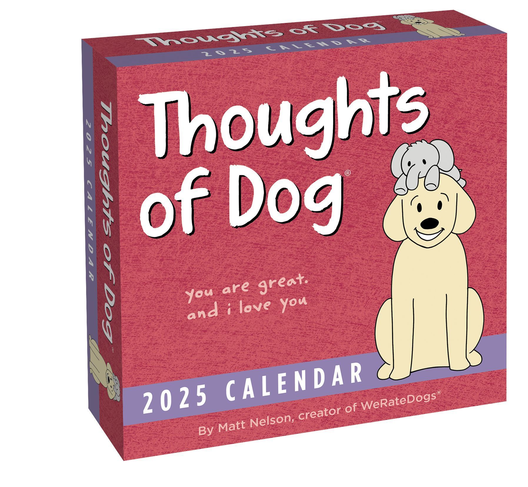 Thoughts of Dog 2025 Day-to-Day Calendar By Matt Nelson 9781524889012