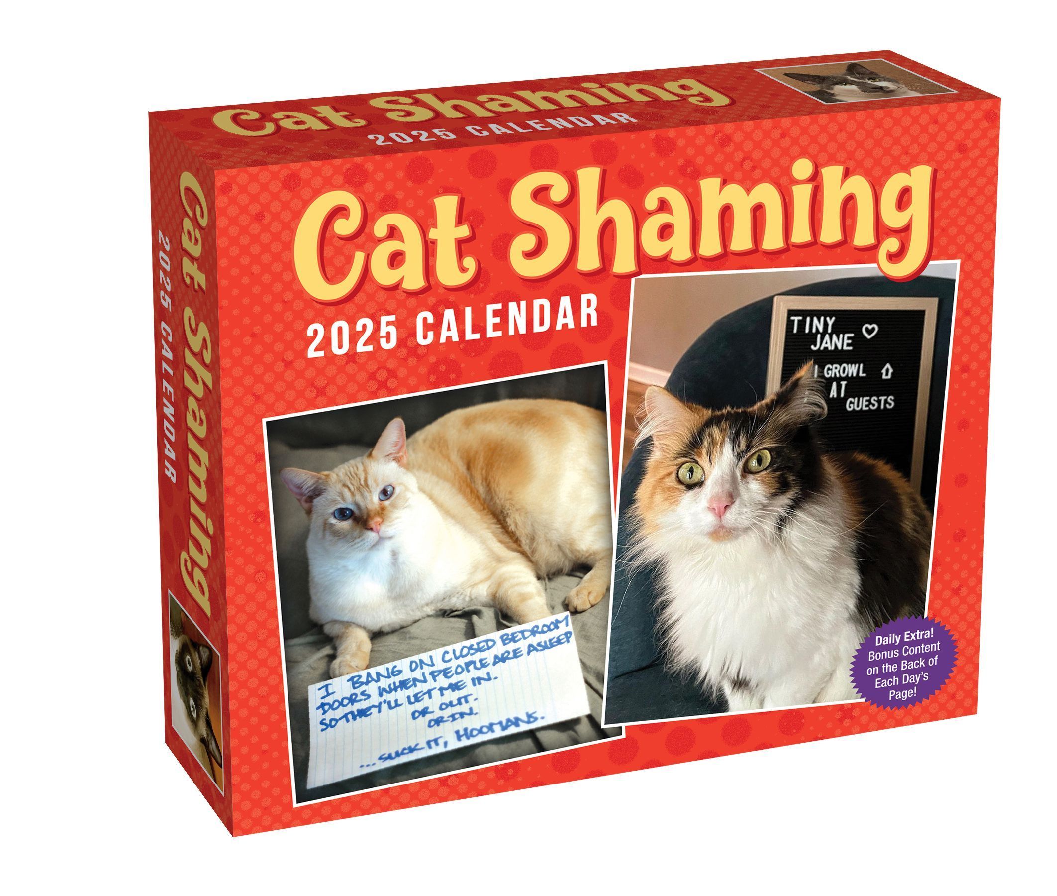 Cat Shaming 2025 Day-to-Day Calendar By Pedro Andrade 9781524889319