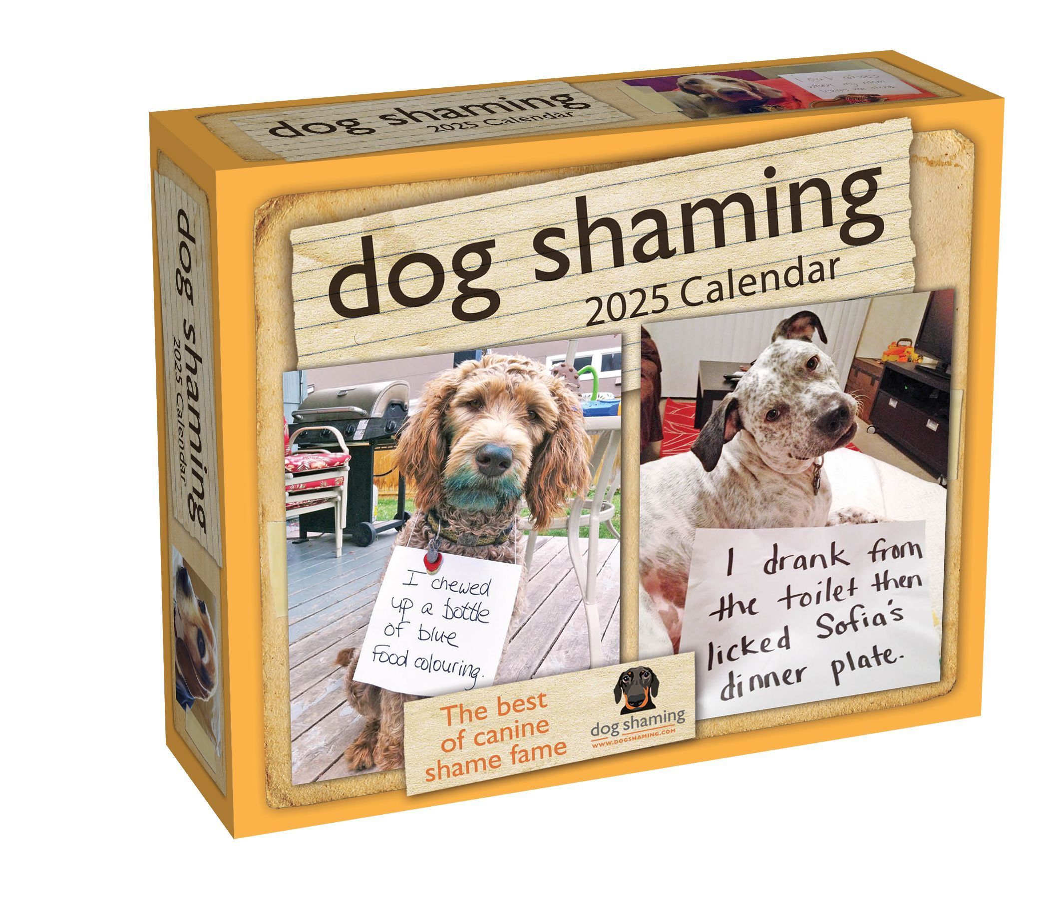 Dog Shaming 2025 Day-to-Day Calendar By Pascale Lemire 9781524890766