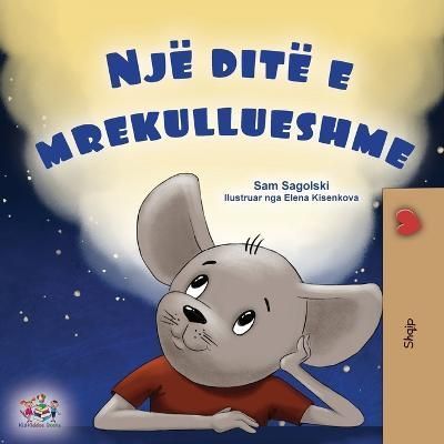 A Wonderful Day (Albanian Book for Kids) 9781525975004 (Paperback)