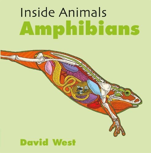 Amphibians By David West 9781526310828 (Paperback)