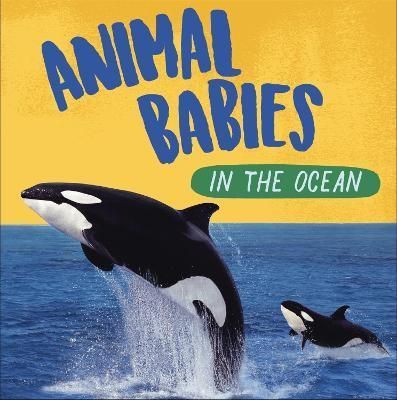 Animal Babies in the Ocean By Sarah Ridley 9781526314529 (Paperback)