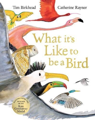 What It's Like to Be a Bird 9781526604125 (Hardback)