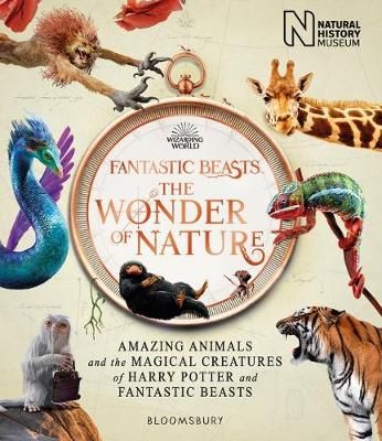 Fantastic Beasts 9781526624031 (Hardback)