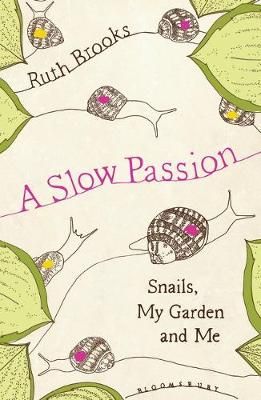 A Slow Passion By Ruth Brooks 9781526640826 (Paperback)