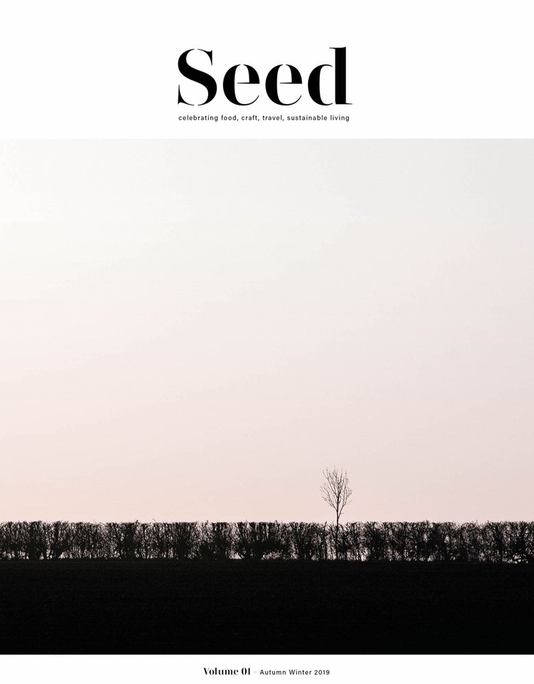 Seed Volume 1 By Seed Magazine 9781527246171 (Paperback)