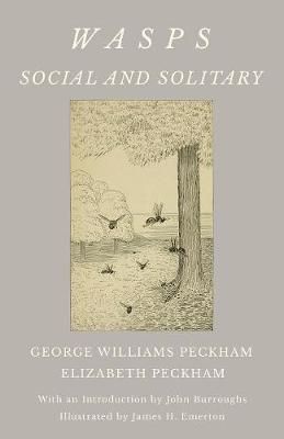 Wasps - Social and Solitary;With an Introduction by John Burroughs - Illustrated by James H. Emerton