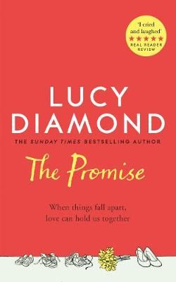 The Promise By Lucy Diamond 9781529027020 (Paperback)