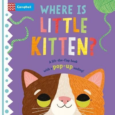 Where Is Little Kitten? By Hannah Abbo (artist) 9781529098419