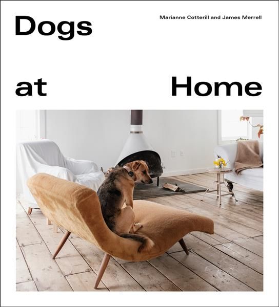 Dogs at Home 9781529105094 (Hardback)