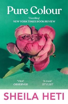 Pure Colour By Sheila Heti 9781529114539 (Paperback)