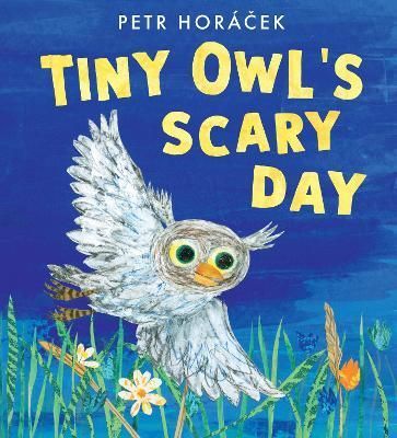 Tiny Owl's Scary Day By Petr Horácek 9781529509274 (Hardback)