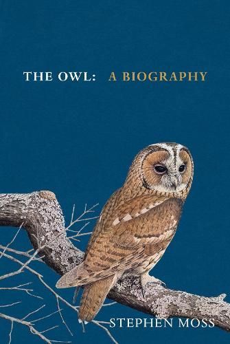 The Owl By Stephen Moss 9781529908268 (Hardback)