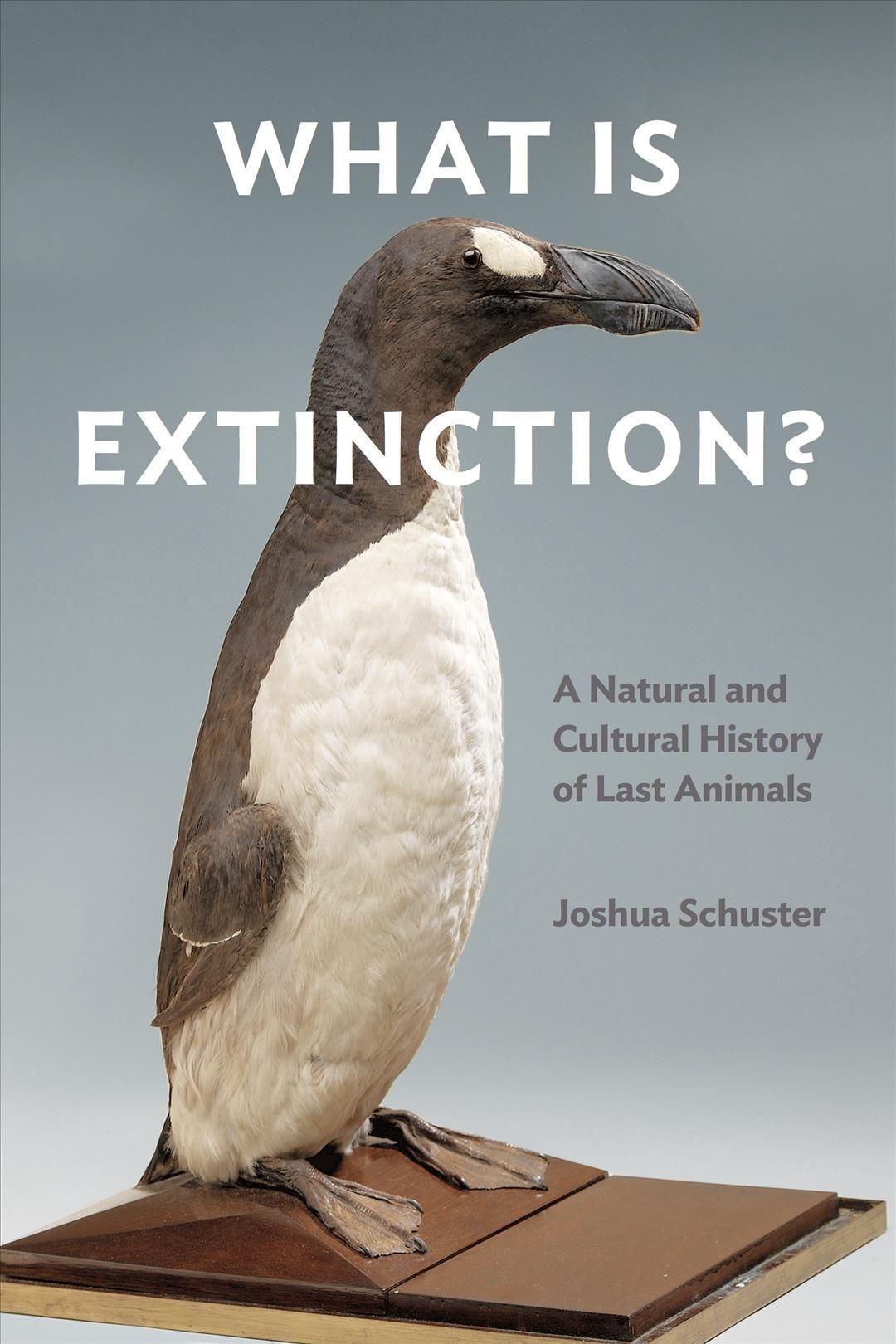 What Is Extinction? By Joshua Schuster 9781531501655 (Paperback)