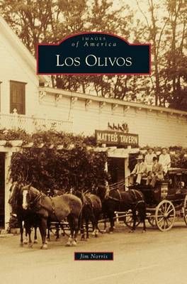 Los Olivos By Norris, Jim 9781531635800 (Hardback)