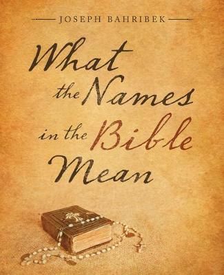 What the Names in the Bible Mean By Bahribek 9781532099243 (Paperback)