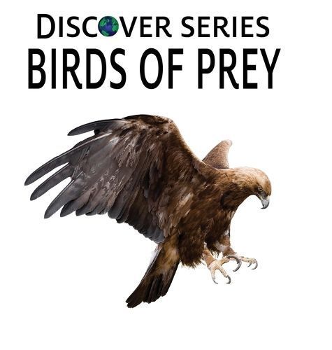 Birds of Prey By Xist Publishing 9781532437663 (Hardback)