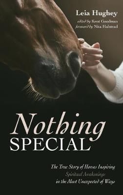 Nothing Special By Hughey 9781532675027 (Hardback)
