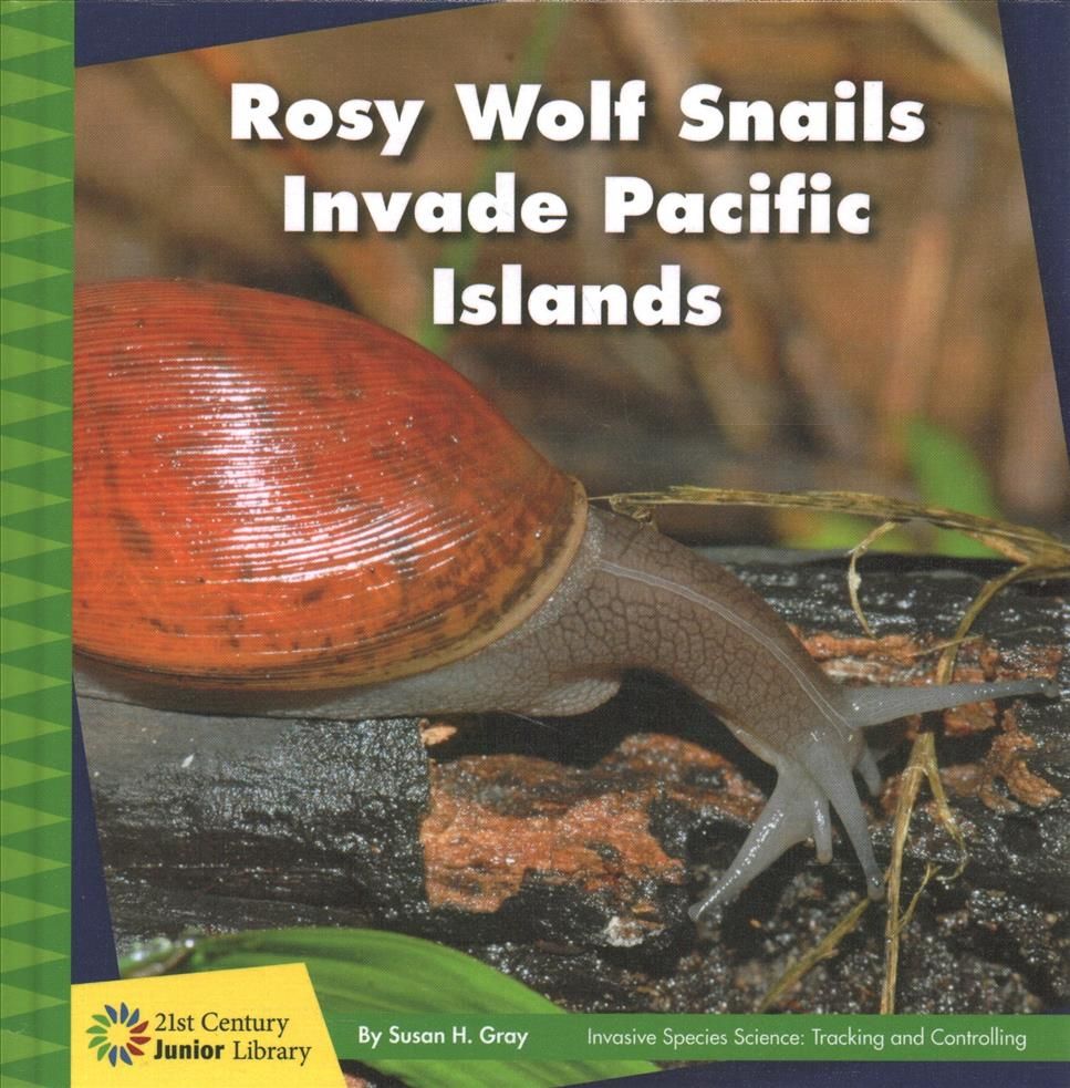 Rosy Wolf Snails Invade Pacific Islands By Susan Heinrichs Gray