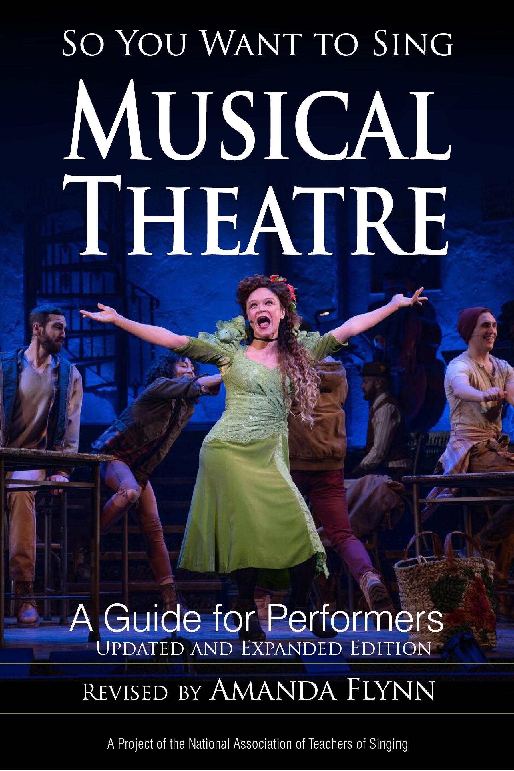 So You Want to Sing Musical Theatre By Amanda Flynn 9781538156315
